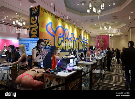 porn conventions|Adult Entertainment Expo